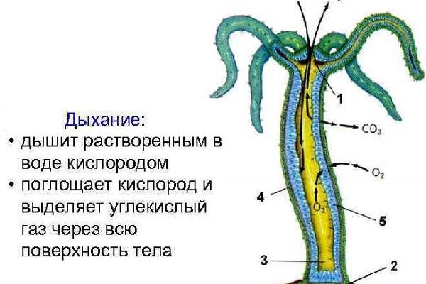 Кракен стор