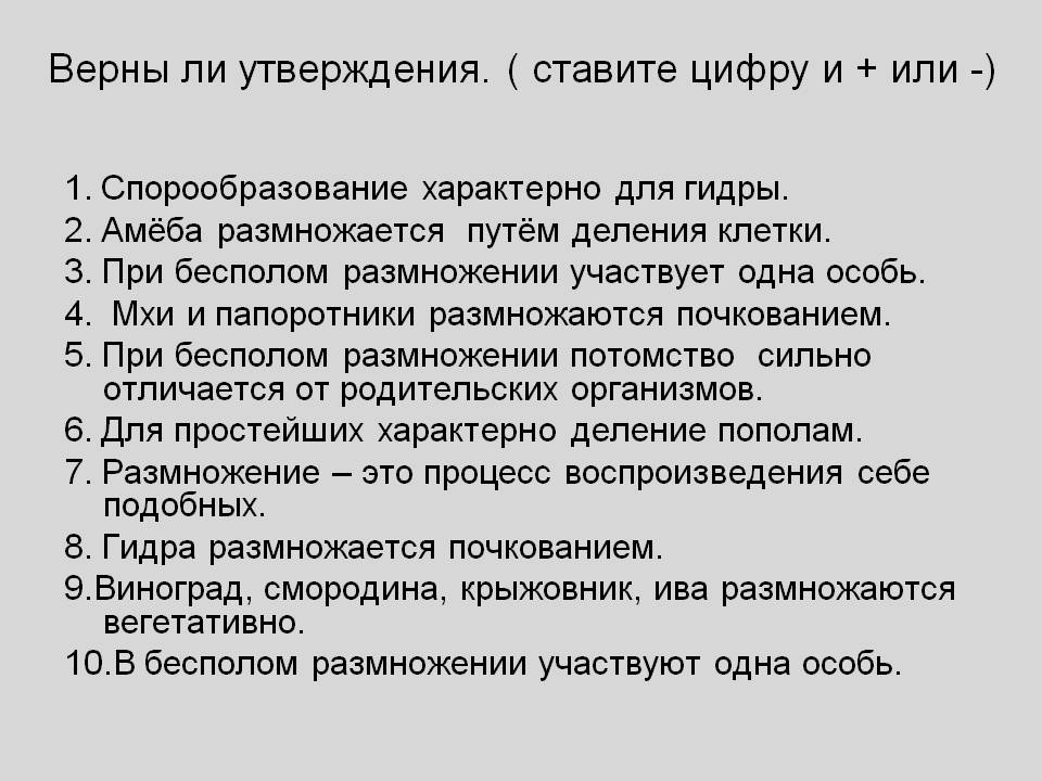 Кракен маркет плей