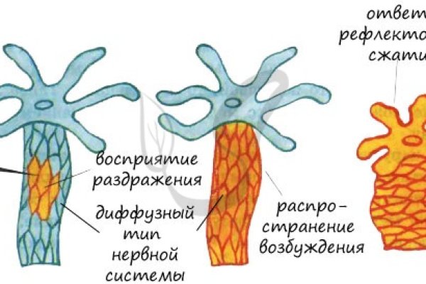 Кракен новый маркетплейс