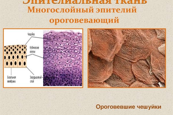 Ссылка на сайт гидра в тор браузере