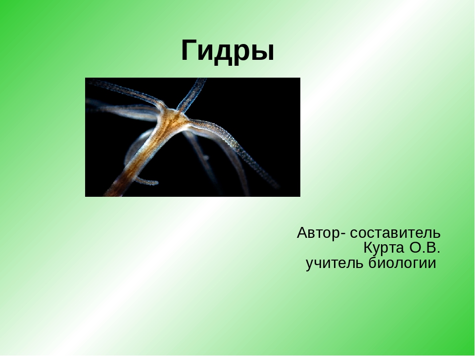 Кракен дарк сайт
